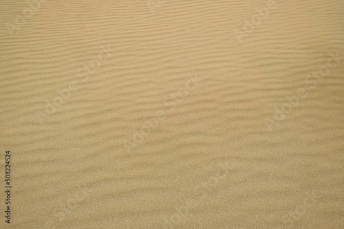 Wavy desert sand texture background. Yellow fine beach sand. Texture background of golden sand, summer sun holiday concept. The texture of the beach sand as background.