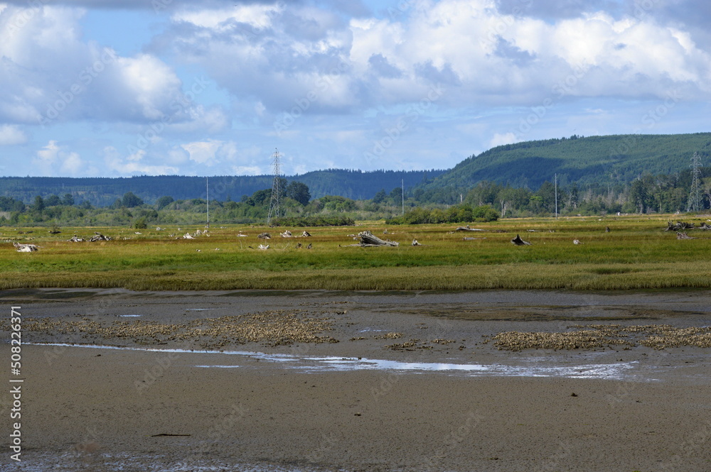 Landschaft am Puget Sound auf der Olympic Halbinsel, Washington