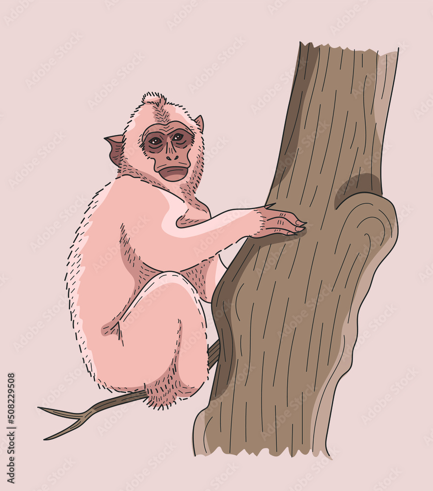 Cute female ape sitting on the tree and looking. Cartoon, comics, hand drawn style. Soft colours ...