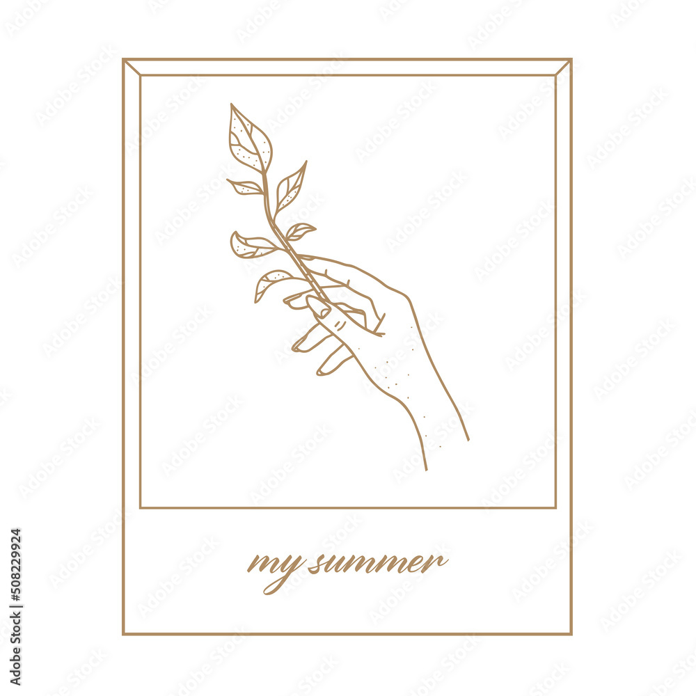 Beautiful illustration. Hand with a branch. My summer. Photo with caption. Minimalistic linear style. Print for packaging, clothes, notebooks. Clipart. Vector image isolated on white background.
