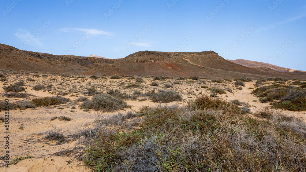 Barren volcanic landscape with dry plants in the Los Volcanes natural park in Lanzarote, Canary Islands, Spain.