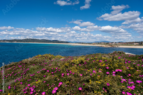 Springtime coastal landscape in Galicia