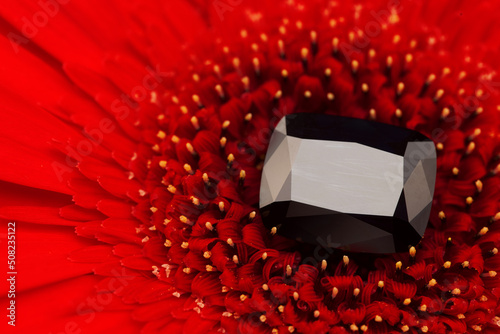 Fototapeta Naklejka Na Ścianę i Meble -  Black Diamond on Red Flower