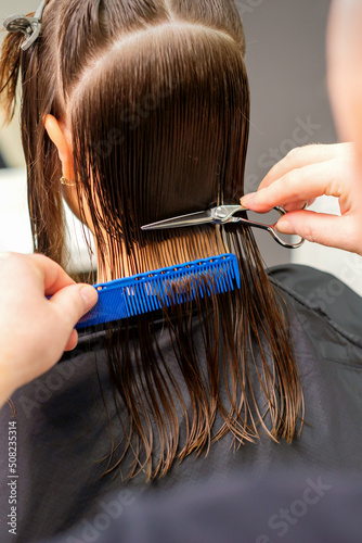 Haircut of long wet hair of young caucasian woman by a male hairdresser in a hairdresser salon, back view