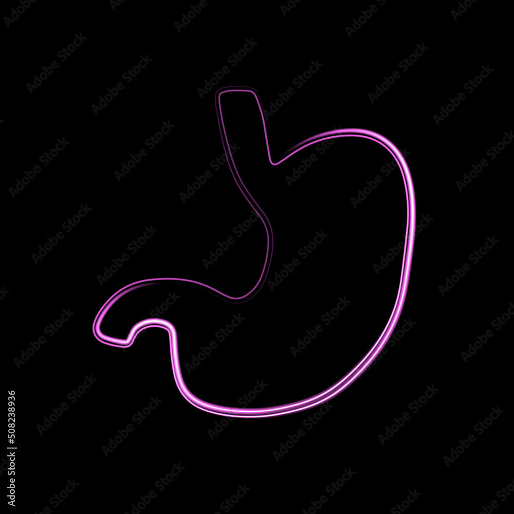 Vector illustration of human stomach with neon effect. Vector illustration of human stomach with neon effect.