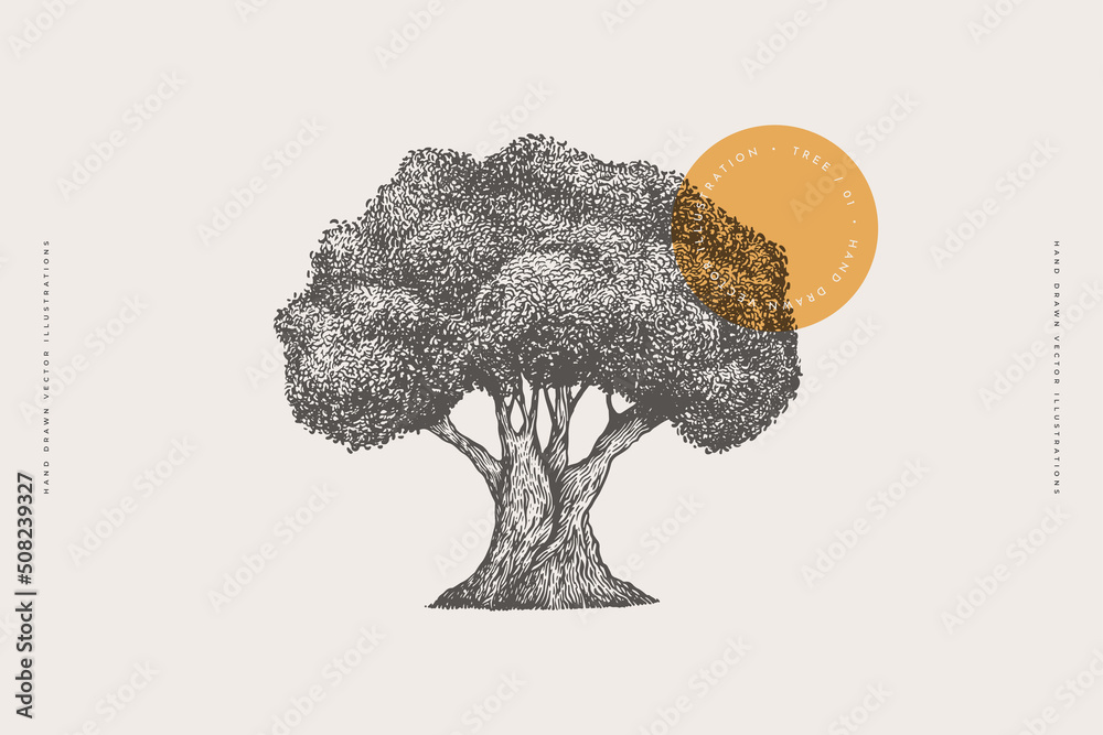 Olive tree in engraving style. Hand-drawn old tree. Template for design postcard, logo, label. Vintage illustration on a light isolated background.