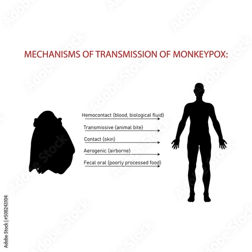 Mechanisms and ways of transmission of monkeypox.Monkeypox virus zoonotic viral disease that can infect human, nonhuman primates. Monkey pox. Vector illustration
