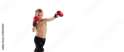 Little boy, kid in sports shots and gloves practicing thai boxing on white studio background. Sport, education, action, motion concept. Flyer