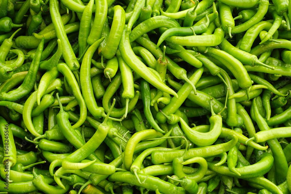 Green pepper texture template background Green pepper texture template background