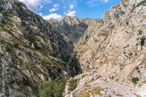 Mountains with vegetation and blue sky with some clouds on the Cares hiking route in Asturias. © victor