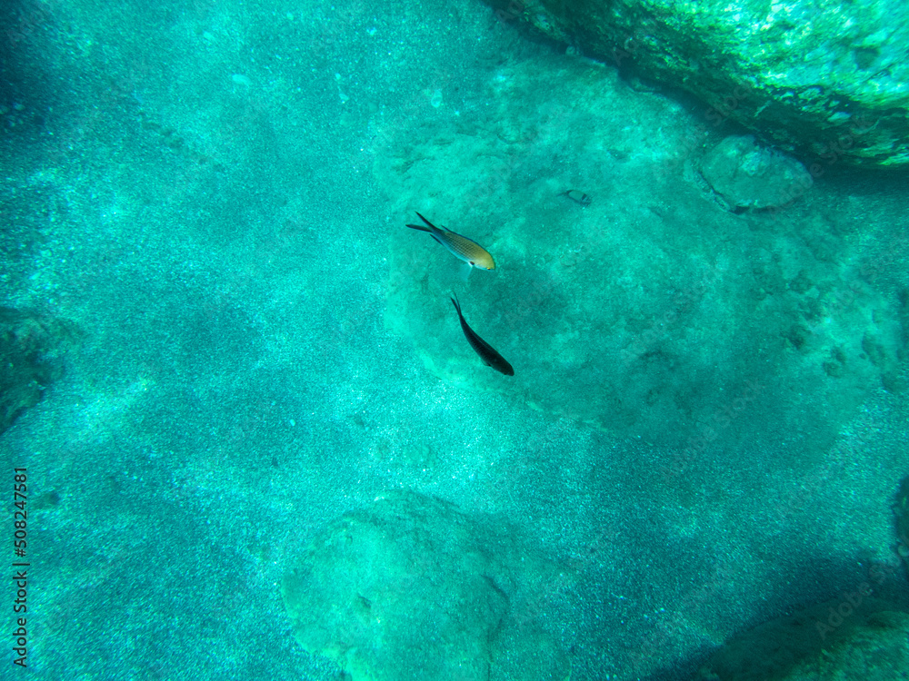 Fototapeta premium Fondale marino Letojanni