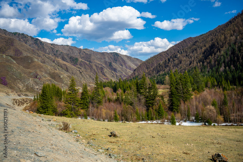Scenic view from mountain pass to forest valley among mountain ranges and hills on horizon at changeable weather in spring time in Altai, Russia