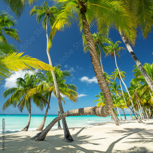 Fototapeta Naklejka Na Ścianę i Meble -  Südseetraum am Strand