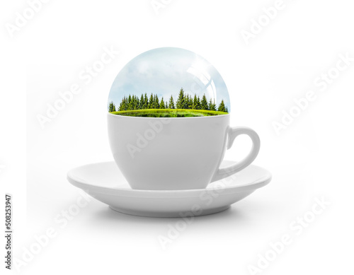 Diorama mit Tannenbäumen in einer weissen Tasse
