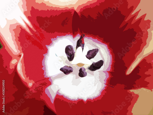Fototapeta Naklejka Na Ścianę i Meble -  illustration of a tulip flower close-up