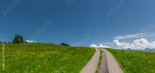 Wanderweg in Vorarlberg in Österreich