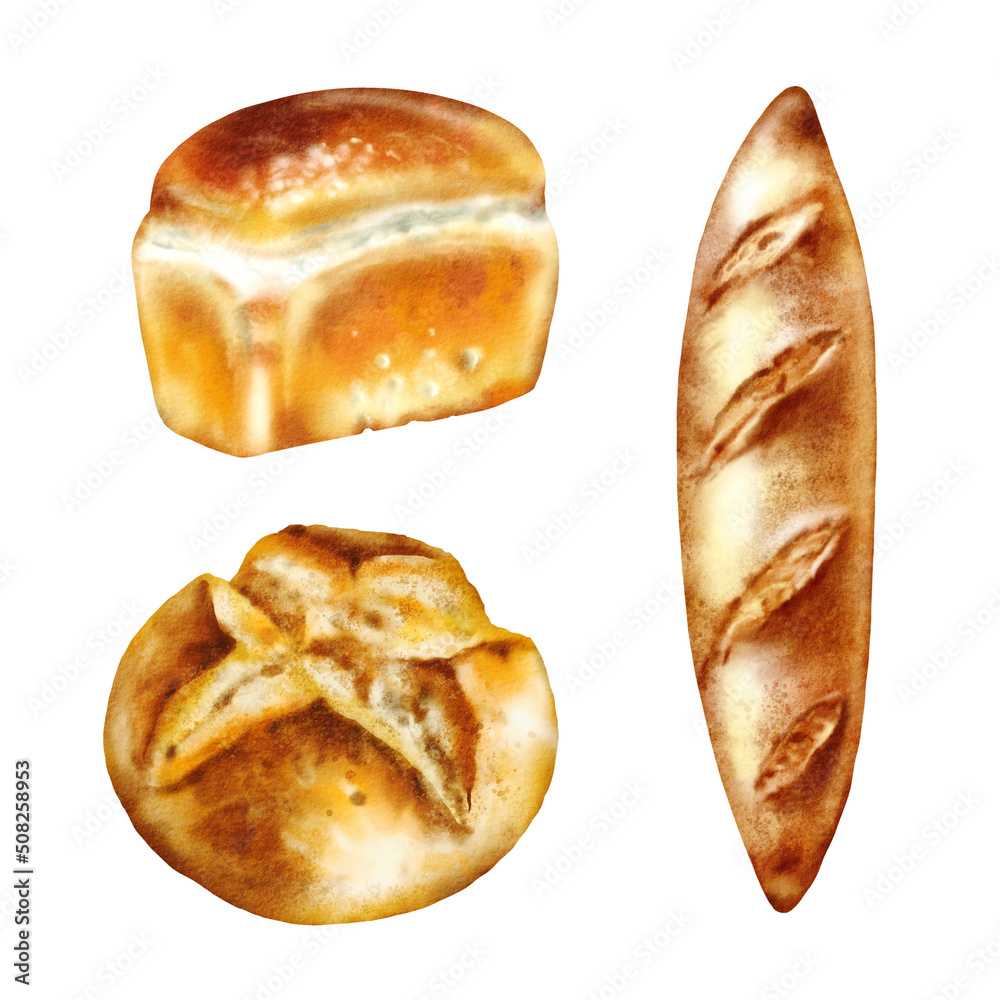Watercolor illustration set – Baking: Bread Watercolor illustration set – Baking: Bread