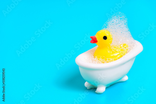 Baby duck taking a bubble bath