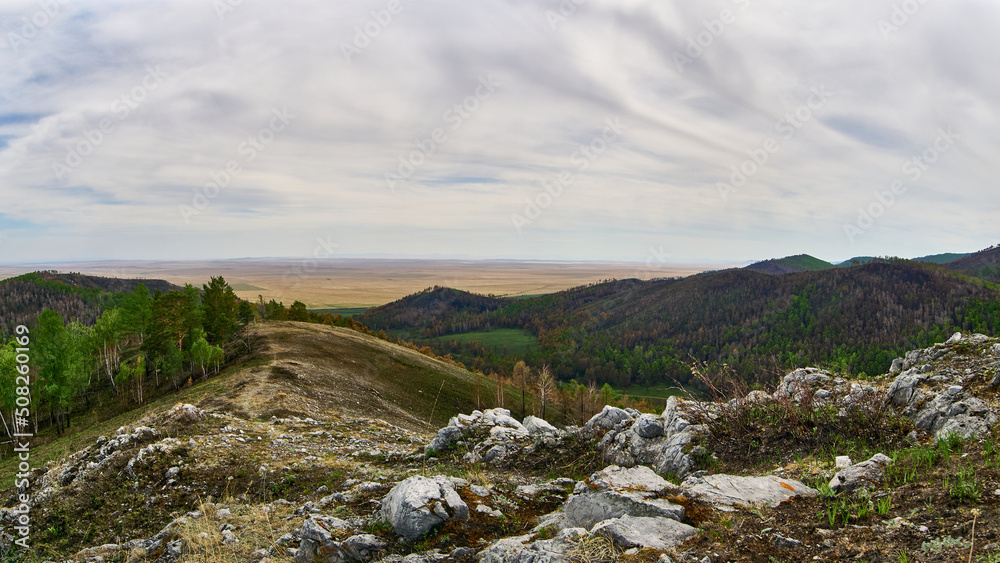 Panorama, a forest in a mountainous area partially affected by a fire.