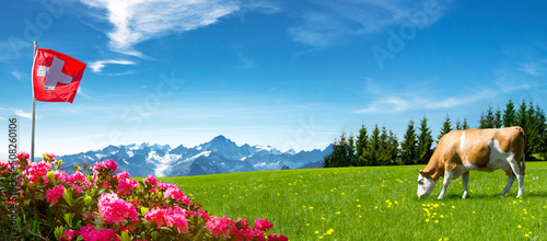 Schweizer Flagge mit Kuh  und Bergwiese