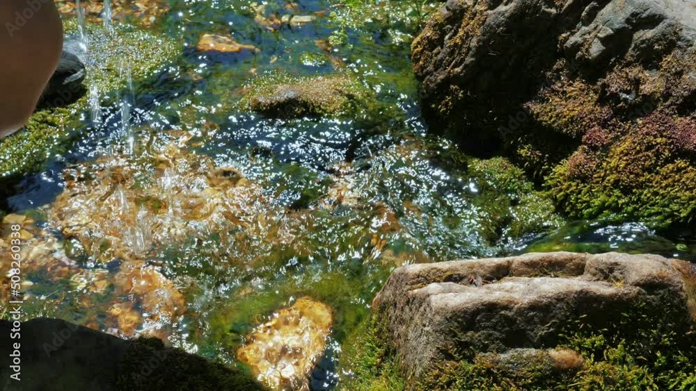 Male hands scoop up clear water from stream to drink or wash. Current of clean spring flow over stones overgrown with moss. Man quenches his thirst from river Male hands scoop up clear water from stream to drink or wash. Current of clean spring flow over stones overgrown with moss. Man quenches his thirst from river