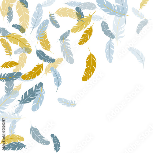Falling feather elements soft vector design.