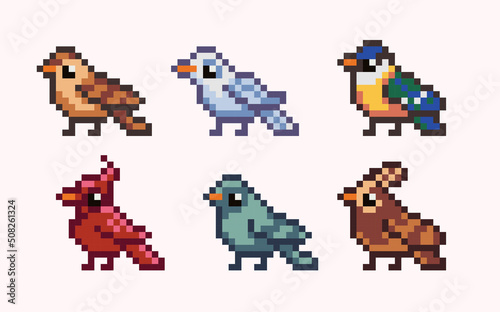 Different birds pixel art set. Cardinal, dove, gull. Avian species collection. 8 bit sprite. Game development, mobile app.  Isolated vector illustration.