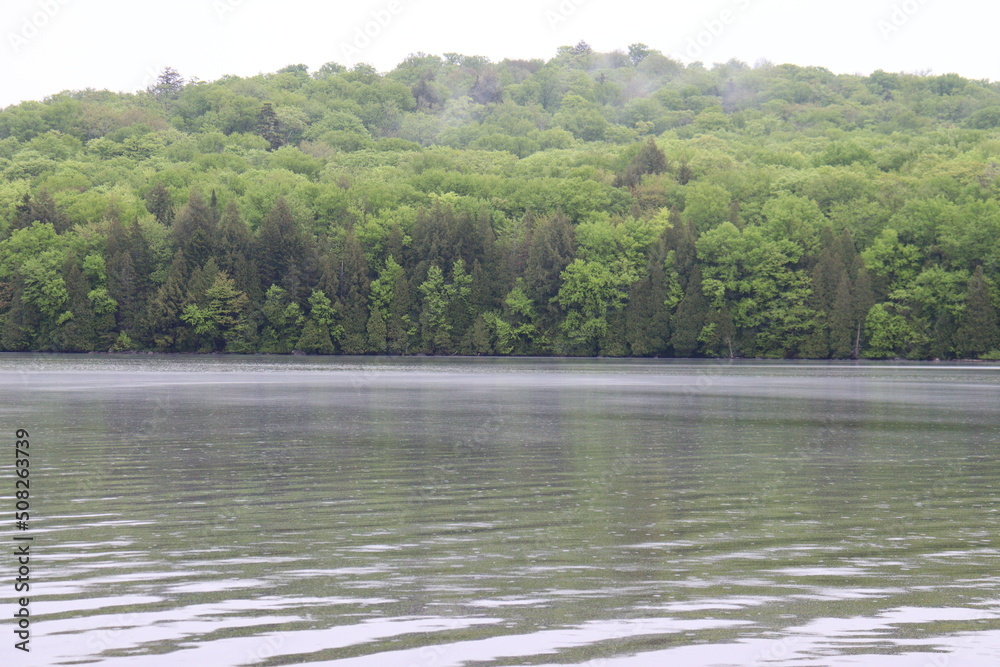 Lake and standing water. Reflection of the water on a lake. Green, tree and haze. Peaceful landscape and zen. Cloudy and rainy day. Foliage and grass. Lake and standing water. Reflection of the water on a lake. Green, tree and haze. Peaceful landscape and zen. Cloudy and rainy day. Foliage and grass.