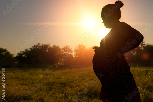 pregnant woman standing in the meadow Warm tones. © Subhakitnibhat