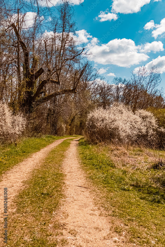 Beautiful summer view near Riedenburg, Bavaria, Germany