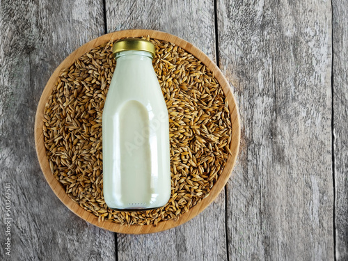Vegan barley milk, non-dairy alternative milk in a glass on a wooden table against the background of barley grains, copy space