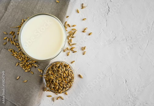 Vegan barley milk barley grains on a napkin on a natural cement table, non-dairy alternative milk, copy space