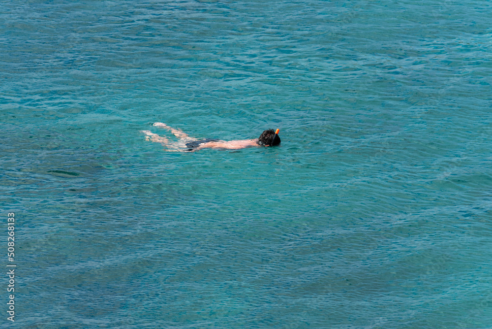 people snorkeling in the sea, watching marine life on the shores of the galapagos islands