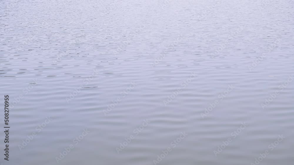 Waves and ripples on the water surface of the lake. Beautiful natural background. The concept of ecology, water resources, meditation, contemplation of nature and water Waves and ripples on the water surface of the lake. Beautiful natural background. The concept of ecology, water resources, meditation, contemplation of nature and water