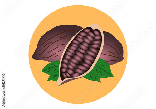 Cacao en grano y mazorcas de cacao