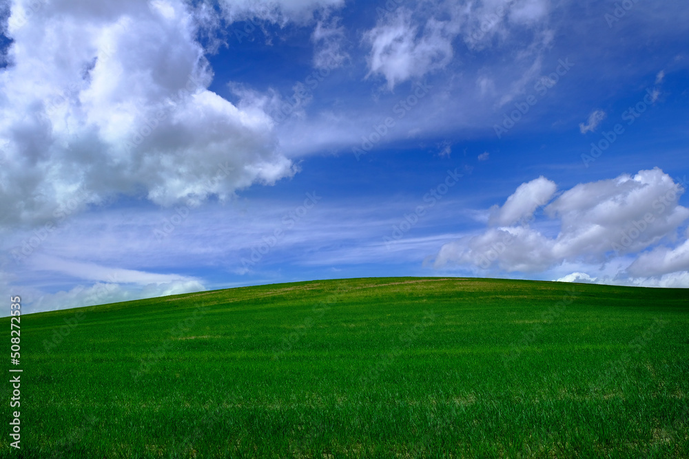 Green Farm Field Crops Blue Sky and Clouds Green Farm Field Crops Blue Sky and Clouds