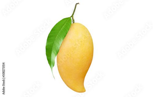 Ripe Mango with green leaf isolated on white background. Clipping path.