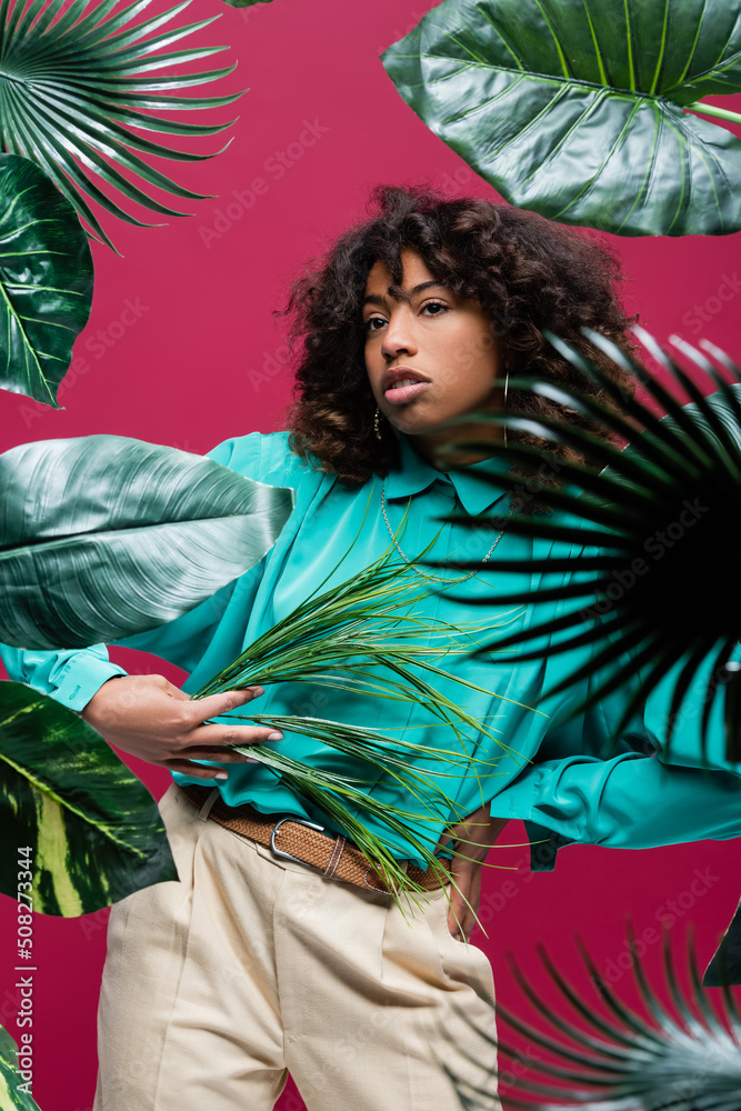 trendy african american woman posing with hand on waist near tropical leaves isolated on pink.