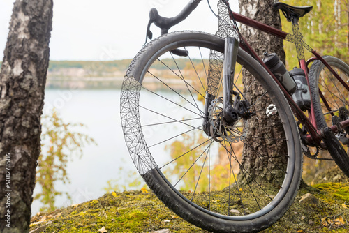 Bicycle with partially painted fragments stands near a tree in forest.