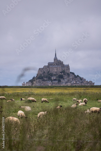 normandie mont saint michel normand rouen champs blé vélo paysage industriel voiture nature animaux pétanque boule