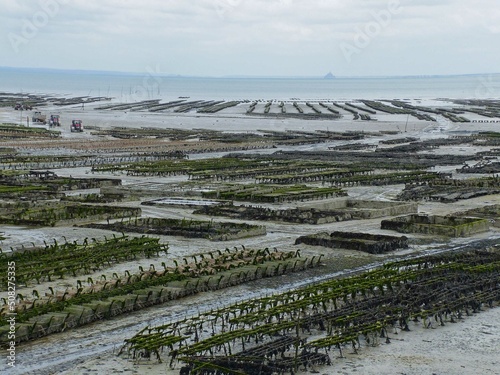 Cancale, France - August 2018: View of an oyster farming area (oyster breeding) from the port of Cancale. With an additional view of the Mont Saint Michel in the bay