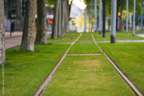 Green public transportation in Rotterdam. Tram or train line with green grass planted between them, a way to reduce pollution.