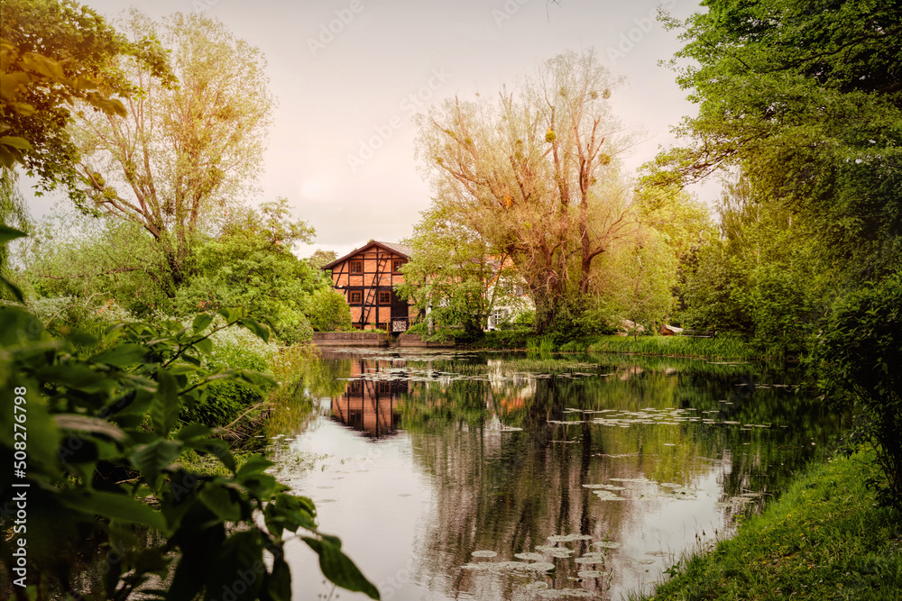 Waterlogged pond and old overgrown garden