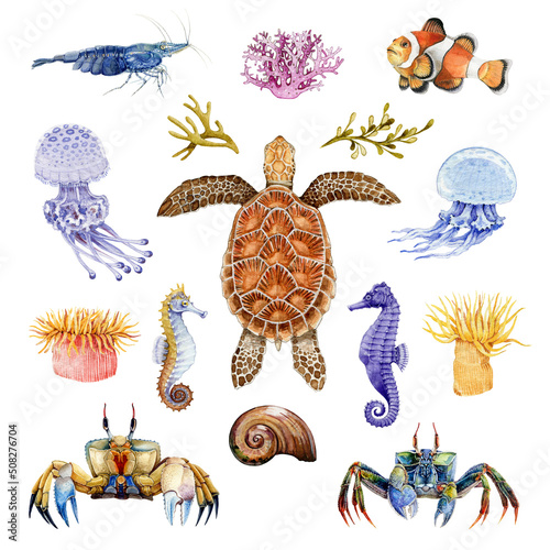 Photography Sea life animals watercolor set