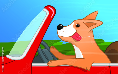 funny dog rides a red car on a trip