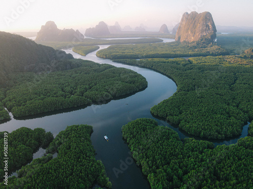 Tropical mangrove green tree forest sea bay morning sunrise, Aerial view