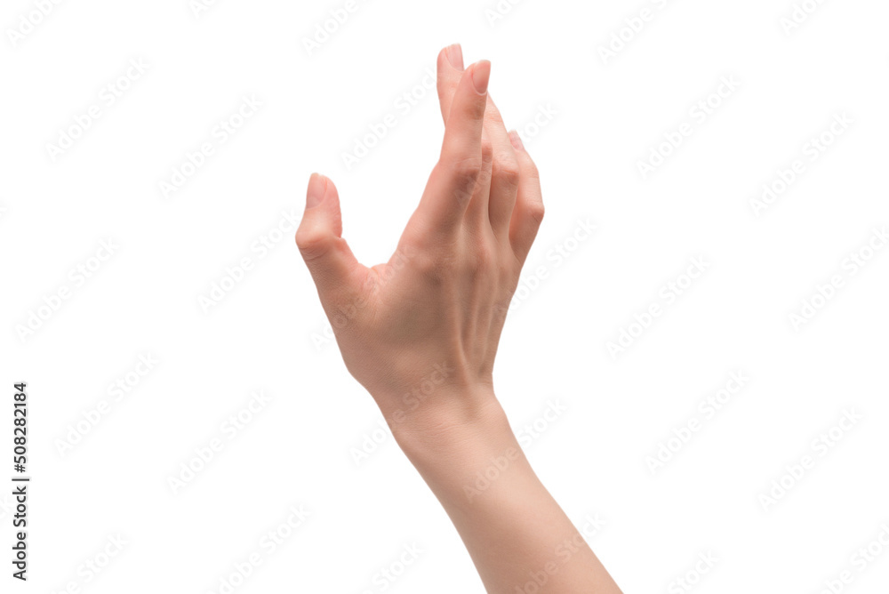 Woman hand isolated on a white background. Woman hand isolated on a white background.