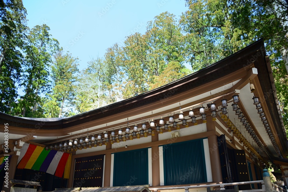 A small, secluded temple town has developed around the sect's headquarters that Kobo Daishi built on Koyasan's wooded mountaintop. Since then over one hundred temples have sprung up along the streets A small, secluded temple town has developed around the sect's headquarters that Kobo Daishi built on Koyasan's wooded mountaintop. Since then over one hundred temples have sprung up along the streets