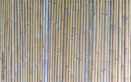 Bamboo texture panel background