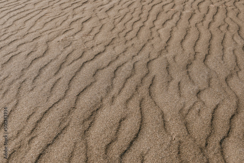 Yellow sand dunes as backdrop. Hot weather in desert, lack of water, soil erosion